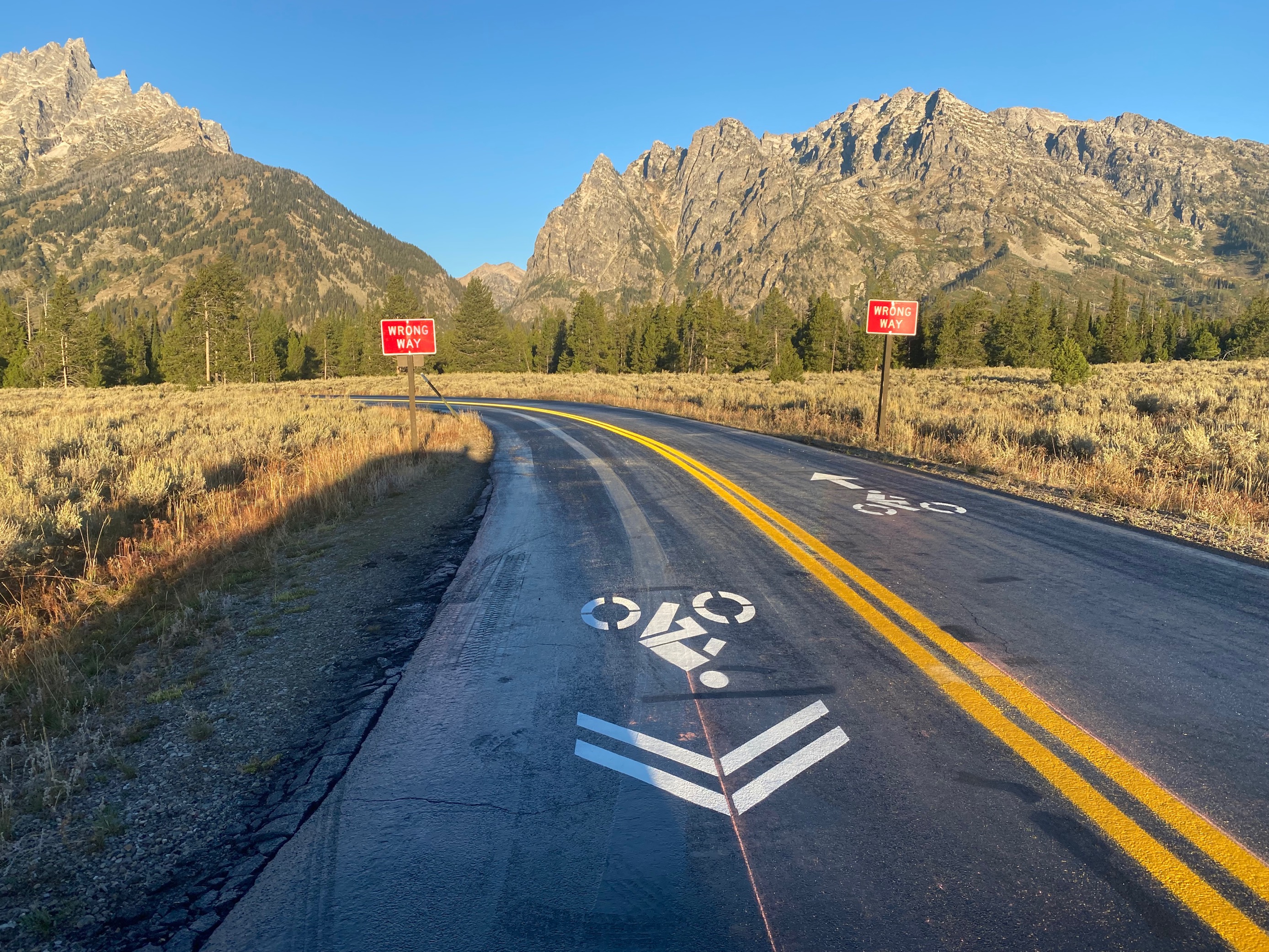 a road with bike signs painted on