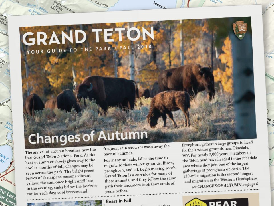 Fall Newspaper Fall Newspaper