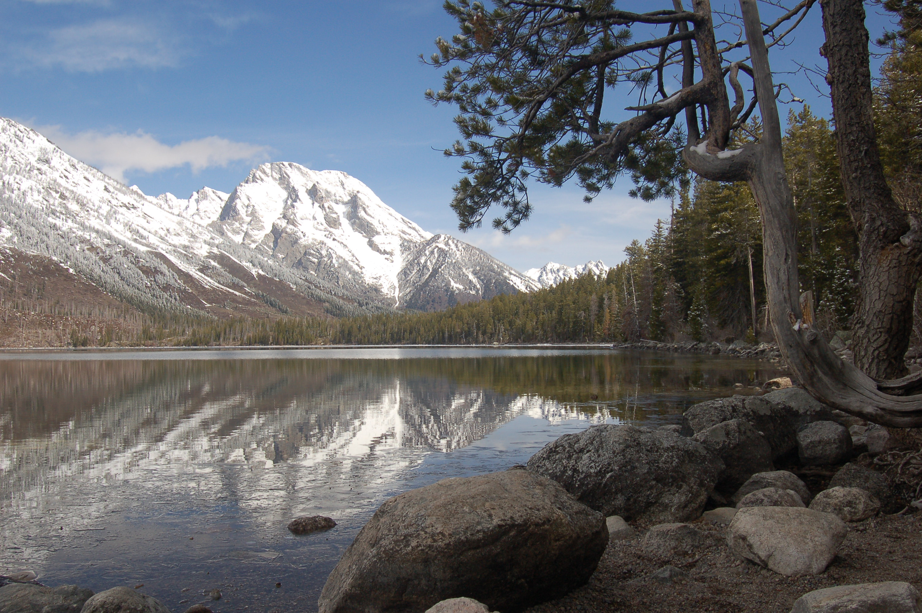 Snowy Mt