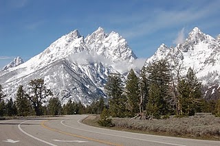 Teton Park Road May