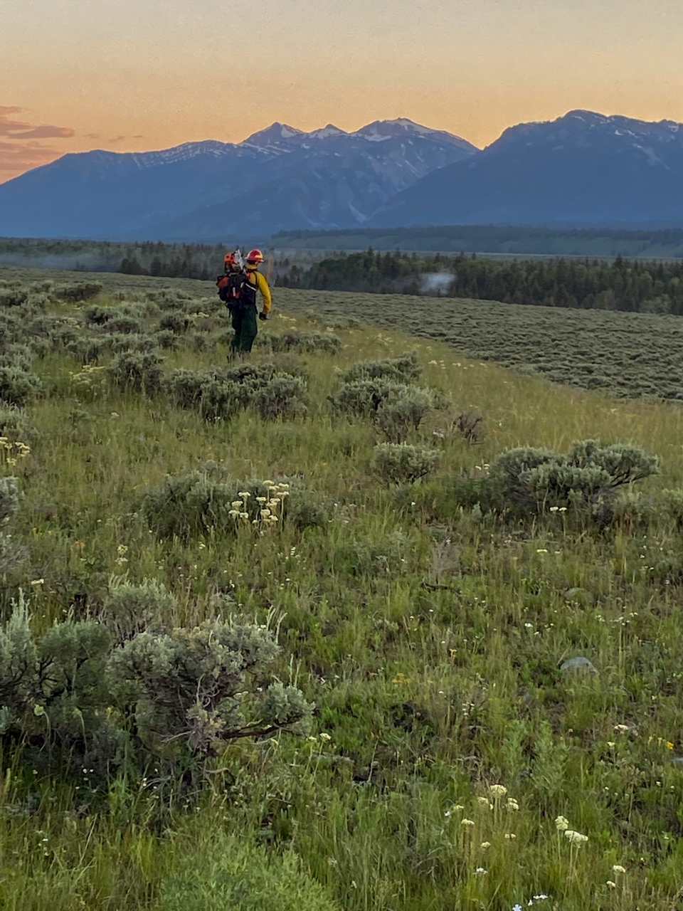 Wildland firefighter works to suppress small fire caused by storms yesterday evening in Grand Teton National Park Wildland firefighter works to suppress small fire caused by storms yesterday evening in Grand Teton National Park