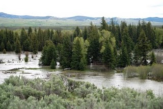 high water on Snake River