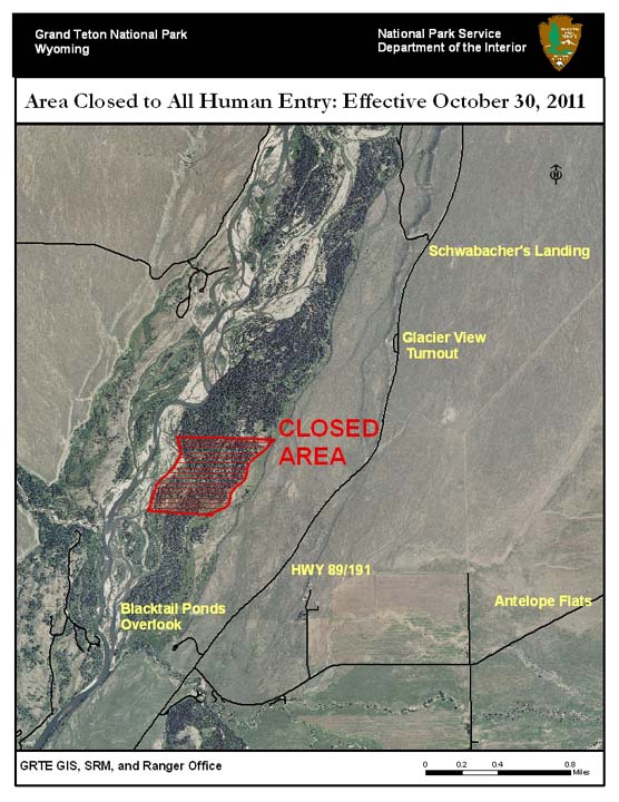 Temporary closure due to bear mauling