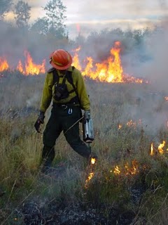 prescribed burn