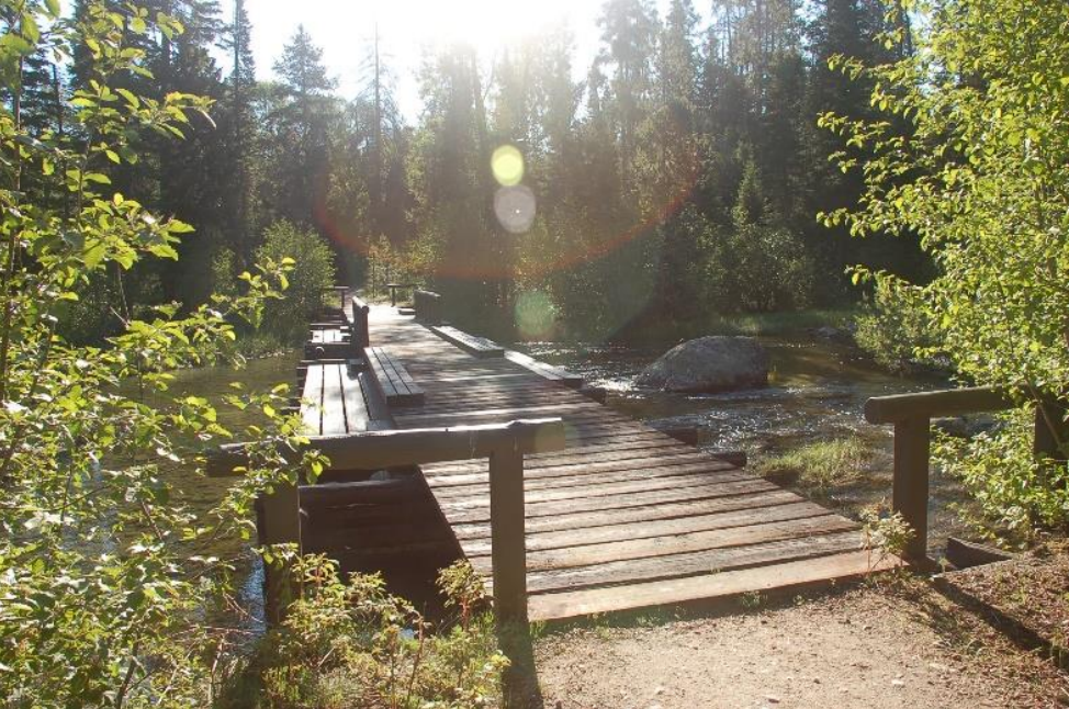 a wood bridge across a creek