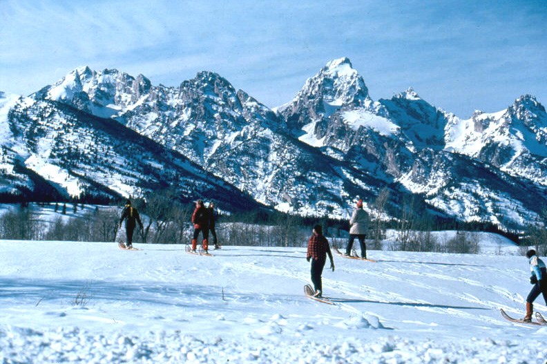 snowshoe