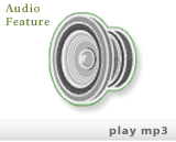 audio-feature