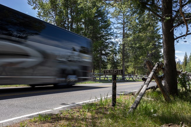 Tour bus travels park road