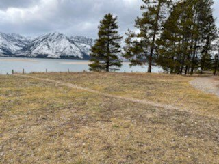 Colter Bay Picnic Level Area Level clearing with a small path and grass. Trees in the background and the Teton Range behind that.