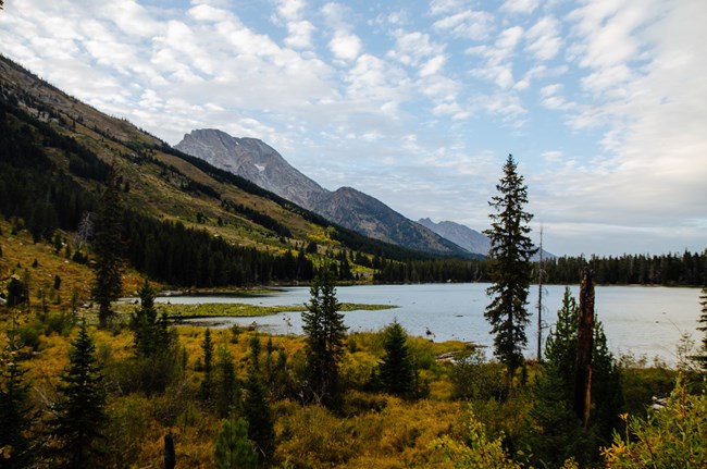 A view over a shallow lake