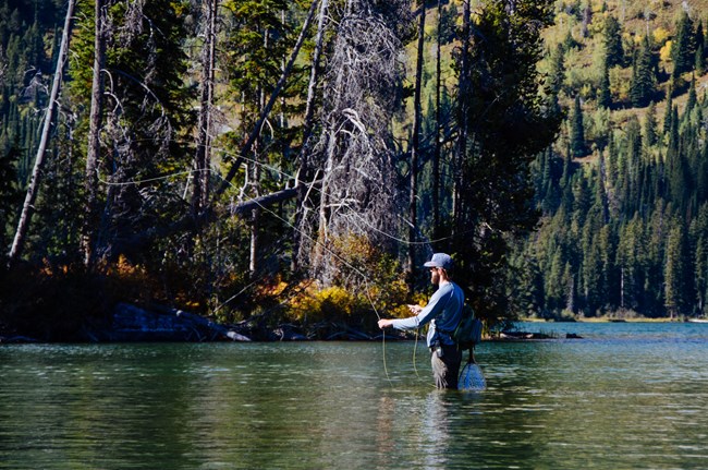 A fisherman stands waste-deep in water while casting a fly rod.
