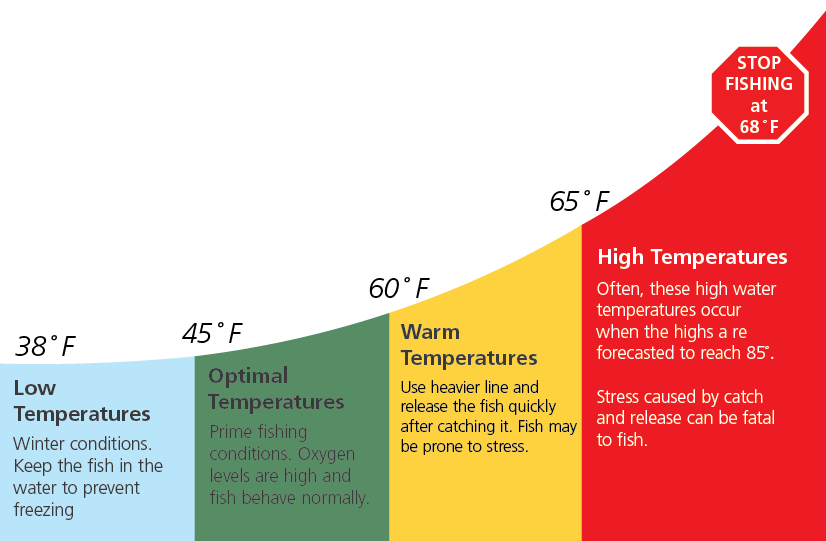 Graphic showing the different fishing conditions at various water temperatures. Stop fishing at 68 degrees F