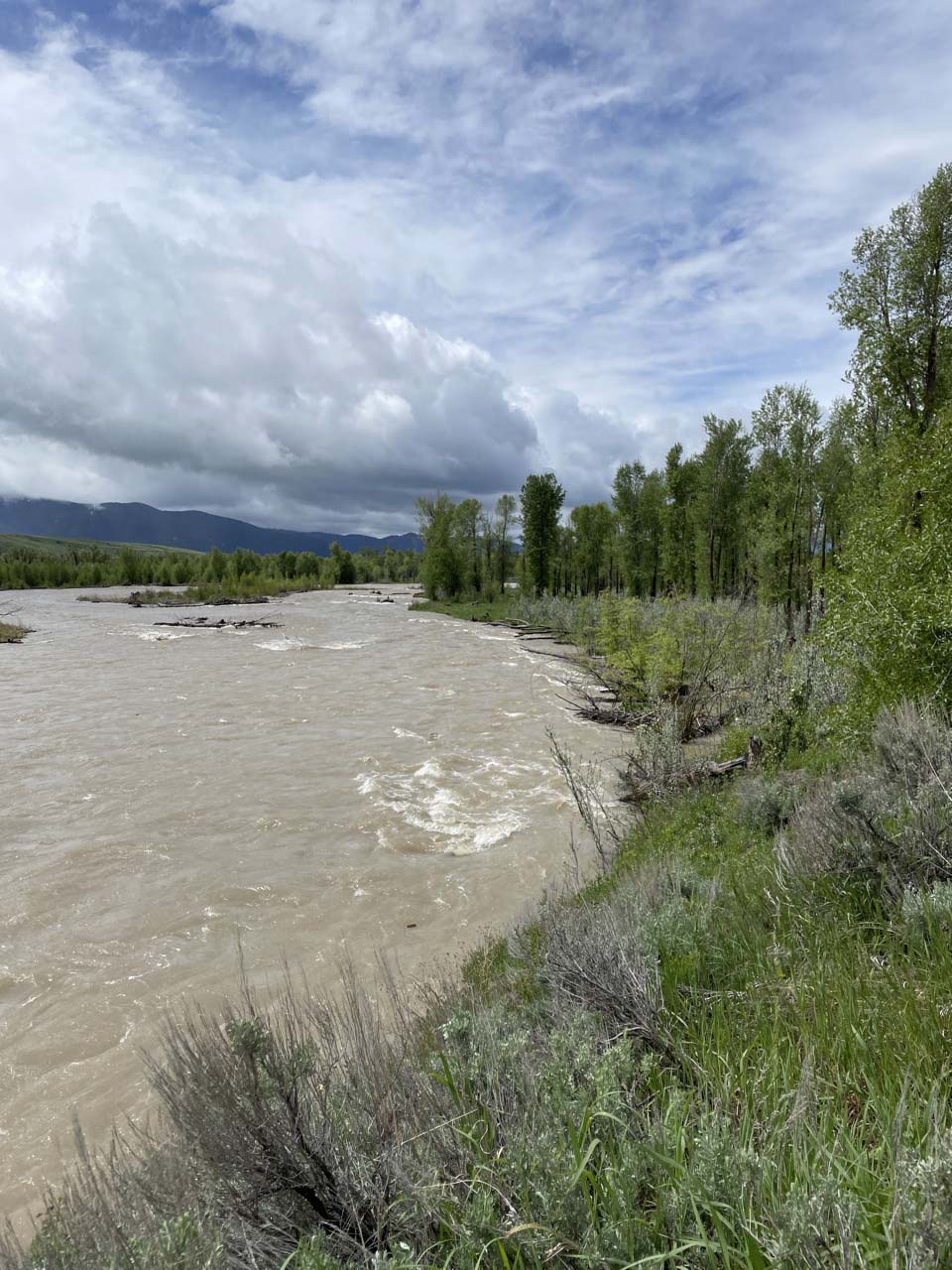 Yellowstone Flood Recovery and Updates Grand Teton National Park (U.S
