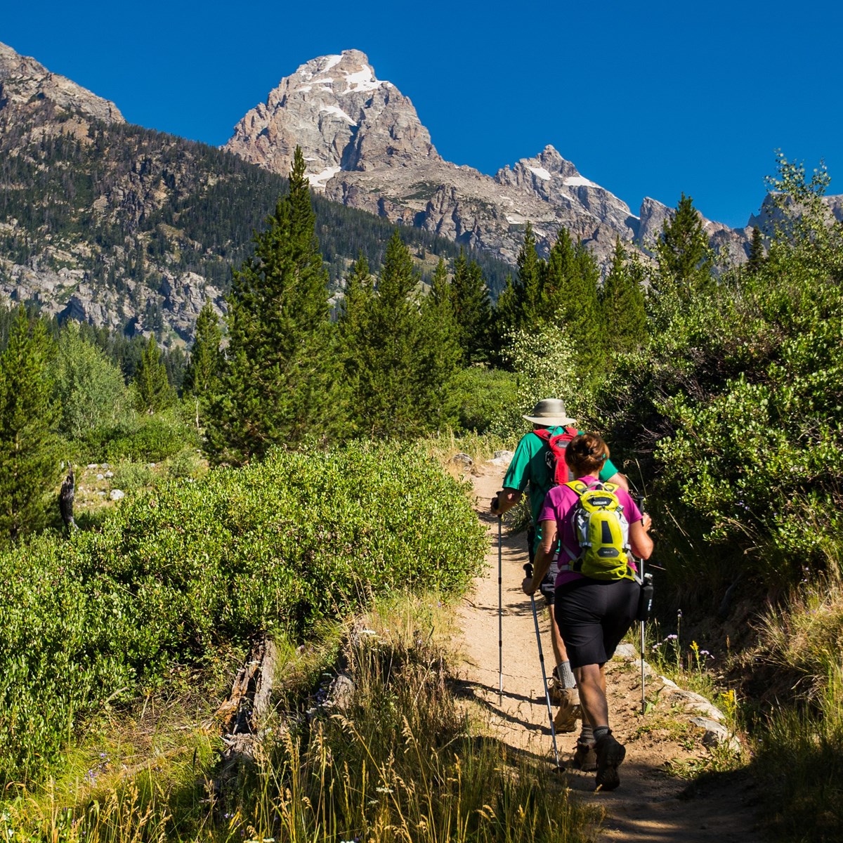 Two hikers walk up a trail towards a mountain range.