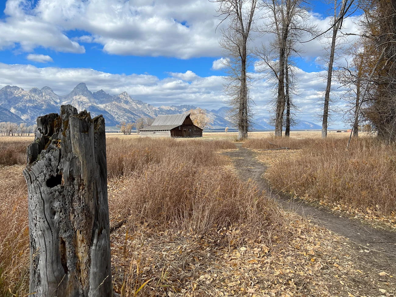 South Mormon Row view 4 T.A. Moulton barn and Tetons in the background.