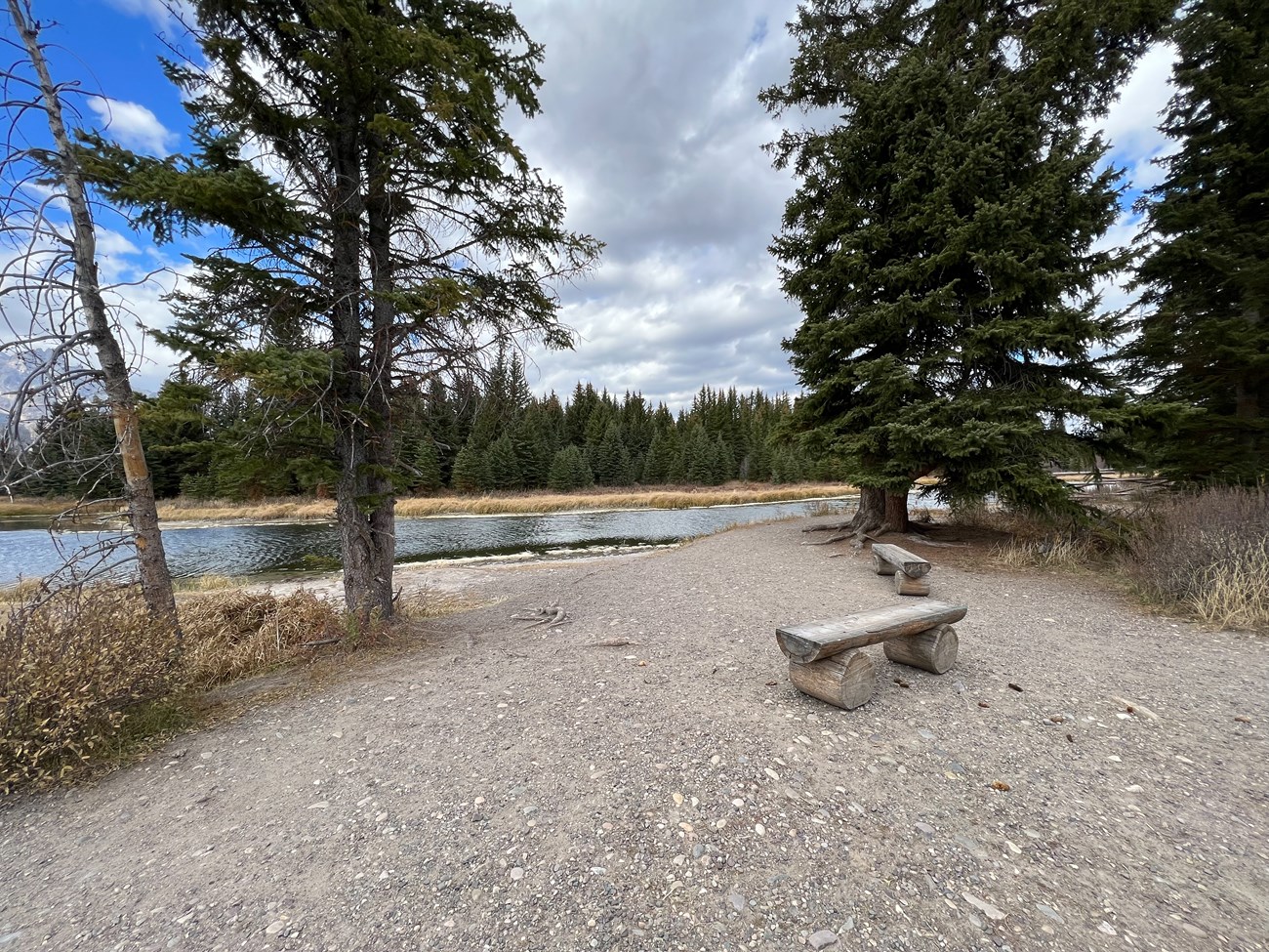 Bench in front of Schwabacher view