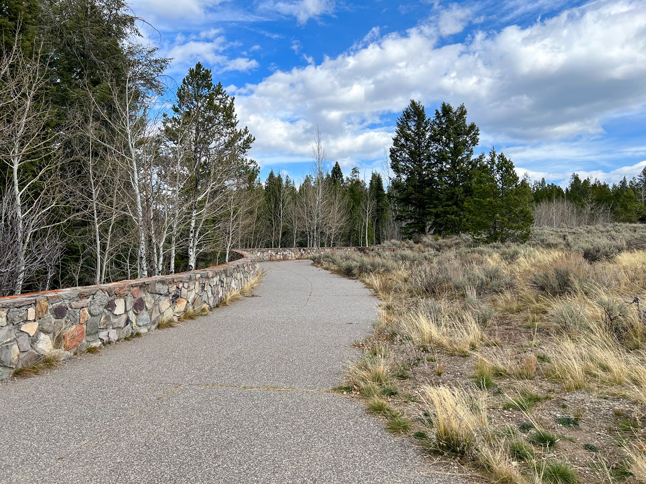 Pathway at Snake River Overlook with trees in background