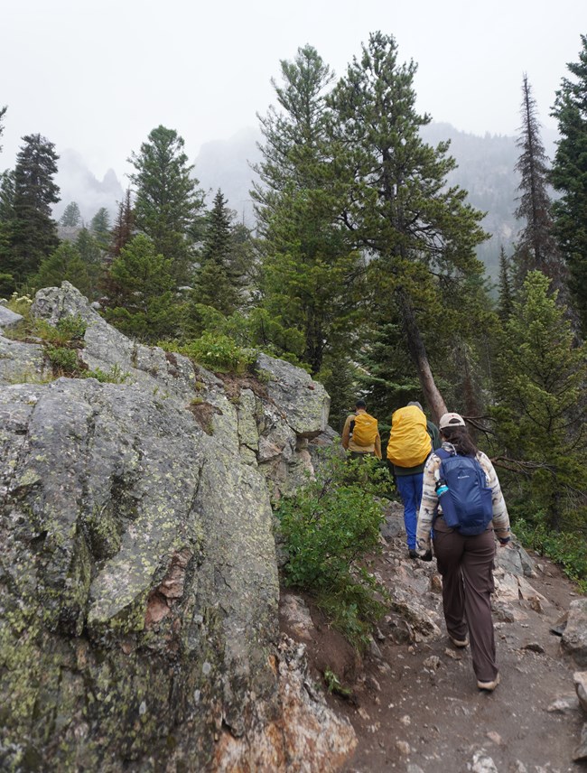 Hikers in raingear on trail.