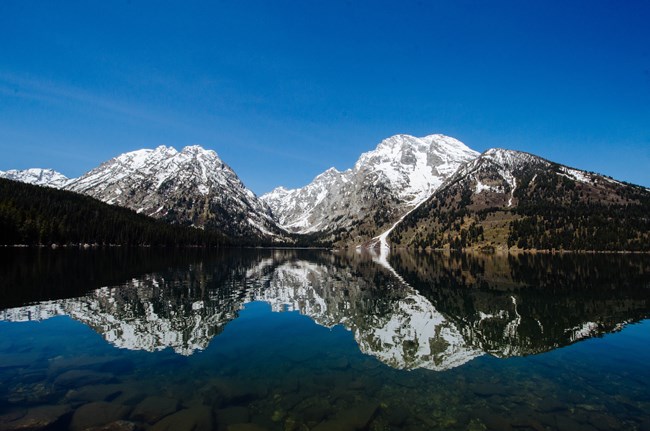 Leigh Lake Snowy mountains reflected on a glassy lake.