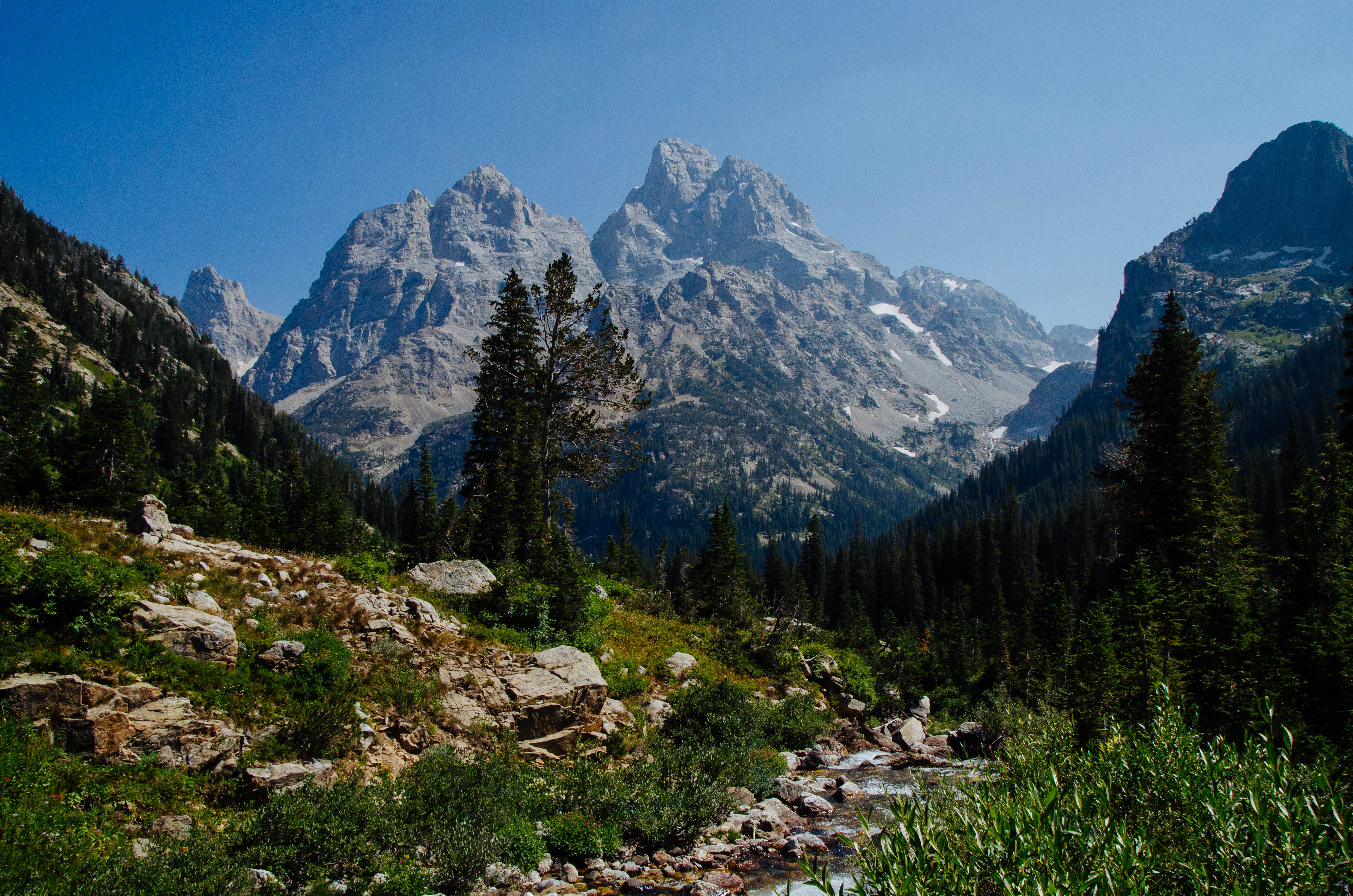 short hikes in grand teton national park
