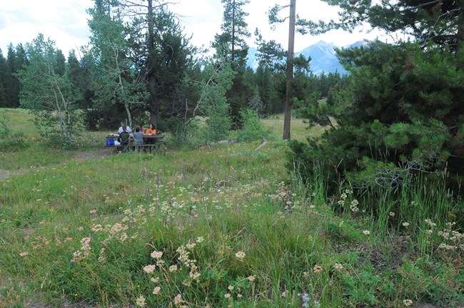 Visitors sit at a picnic table in a meadow.