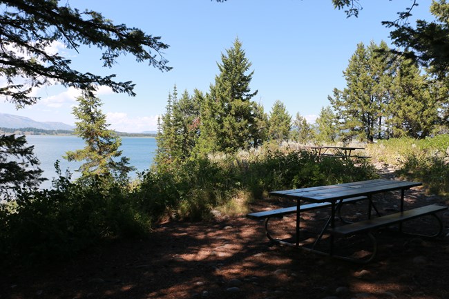 A picnic table under trees by a lake.