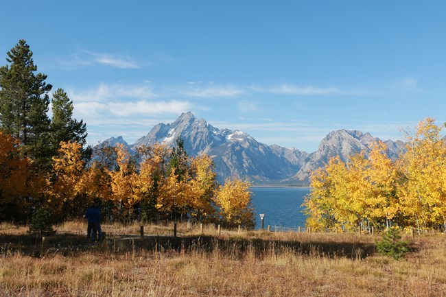 Bright colored trees frame a lake and mountains.