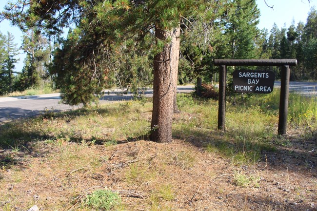 A sign reading "Sargents Bay Picnic Area" by a road.