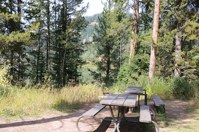 A picnic table under trees by a lake.