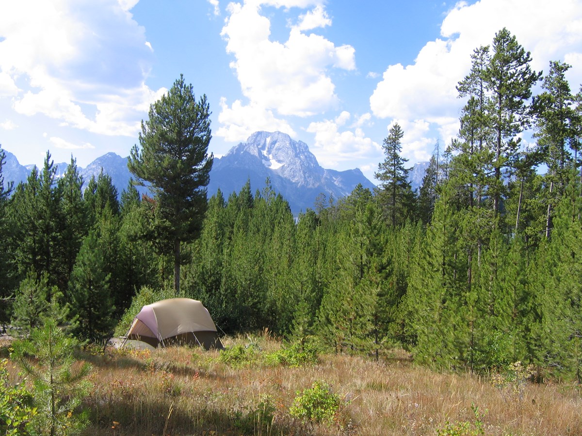 Hatchet Campground Moran Wyoming Wy 360 Video Virtual Reality Youtube