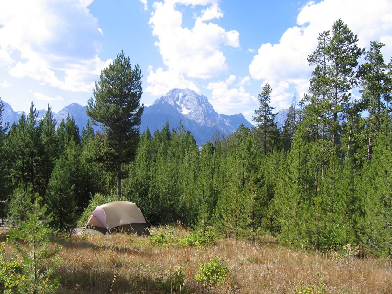 A tent in tall grass with mountains in the background.
