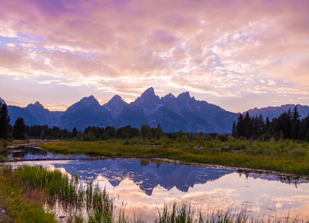 View of beaver ponds, trees, and the Teton Range from Schwabacher Landing.