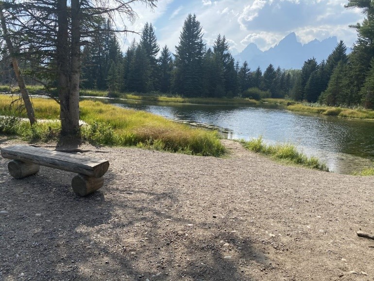 View from a gravel area with a bench of a body of water lined by pine trees.
