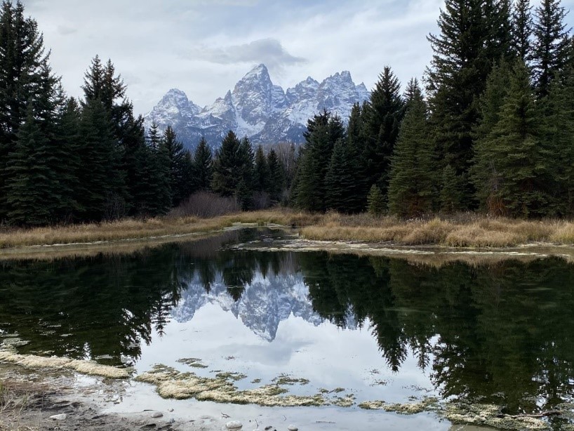 A body of water lined by trees with the Teton Range in the background.