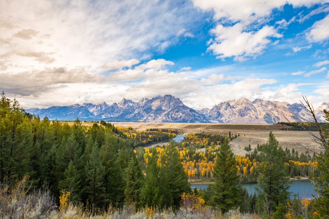 View from Snake River Overlook with trees in the foreground, the snake river running through, and the Teton Range in the background.