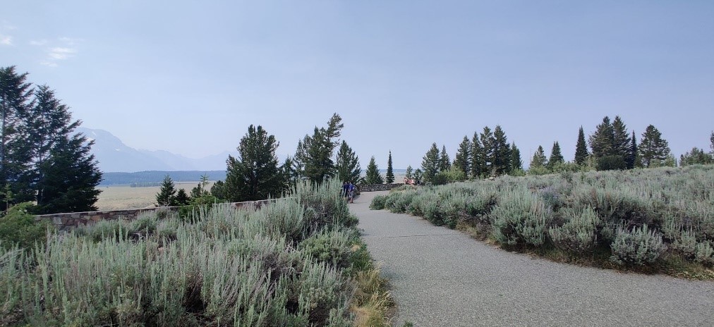 Snake River Overlook path to ceremony location A paved path leading through an opening with trees and blue skies in the background.