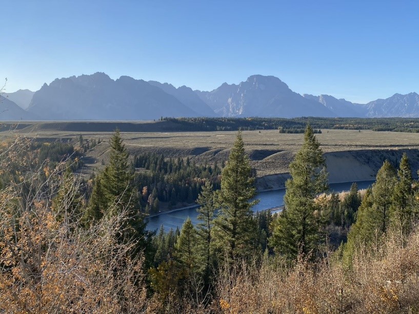 View from Snake River Overlook with trees in the foreground, the snake river running through, and the Teton Range in the background.