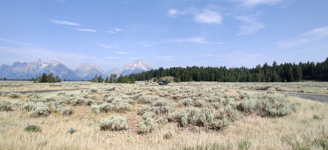 A view of a field with trees in the background and the Teton Range behind that.