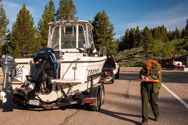 A ranger inspects a motorized boat for Aquatic Invasive Species.