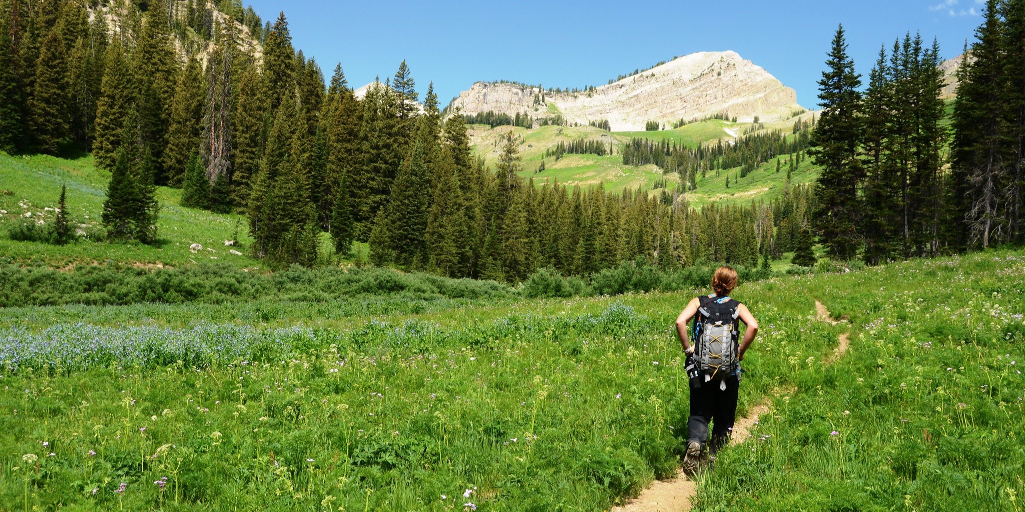 Hiker on granite canyon trail