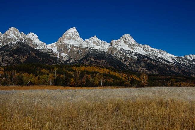 Mountains across a field.