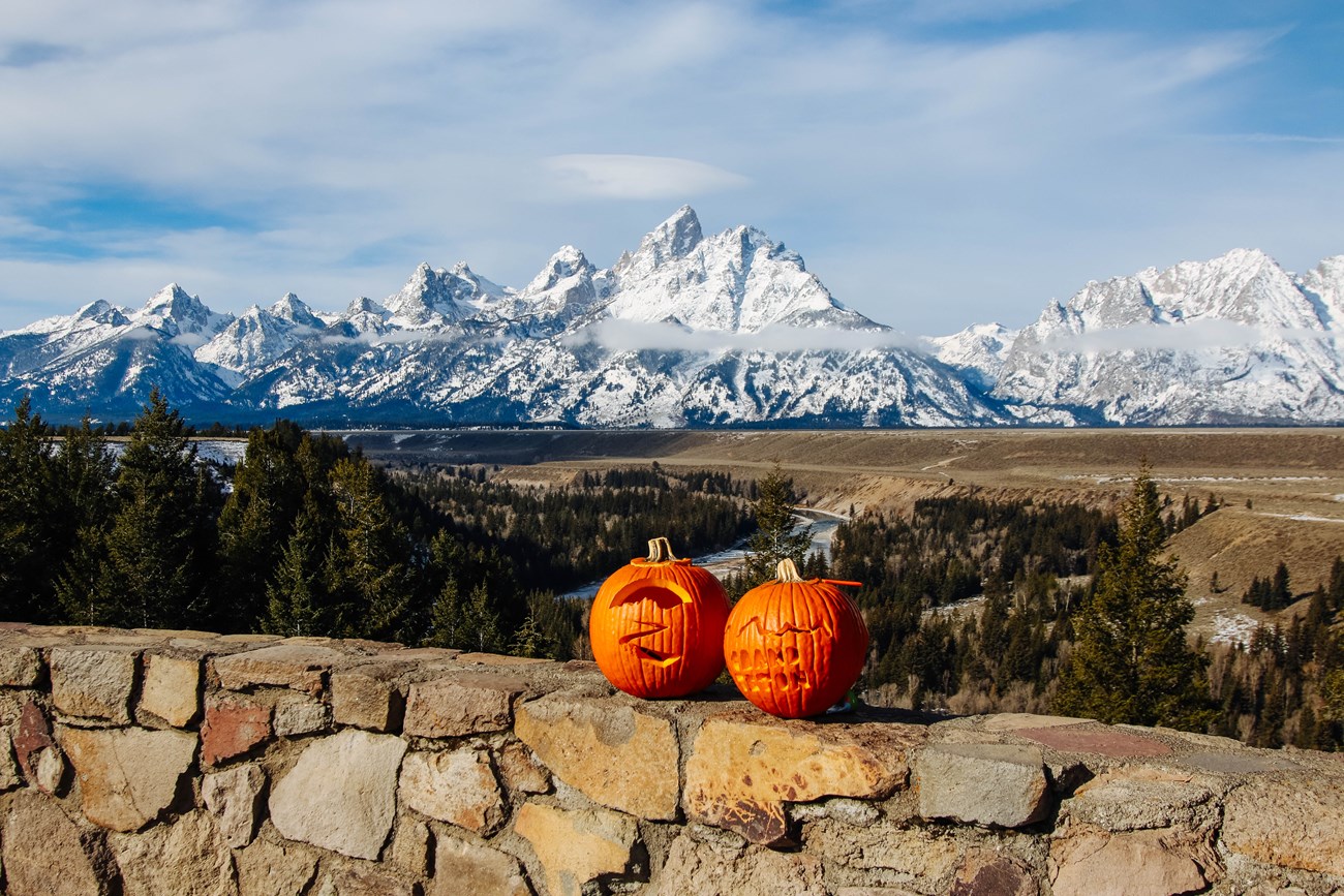 two pumpkins with mountain carvings on a stone wall in front of a mountain range