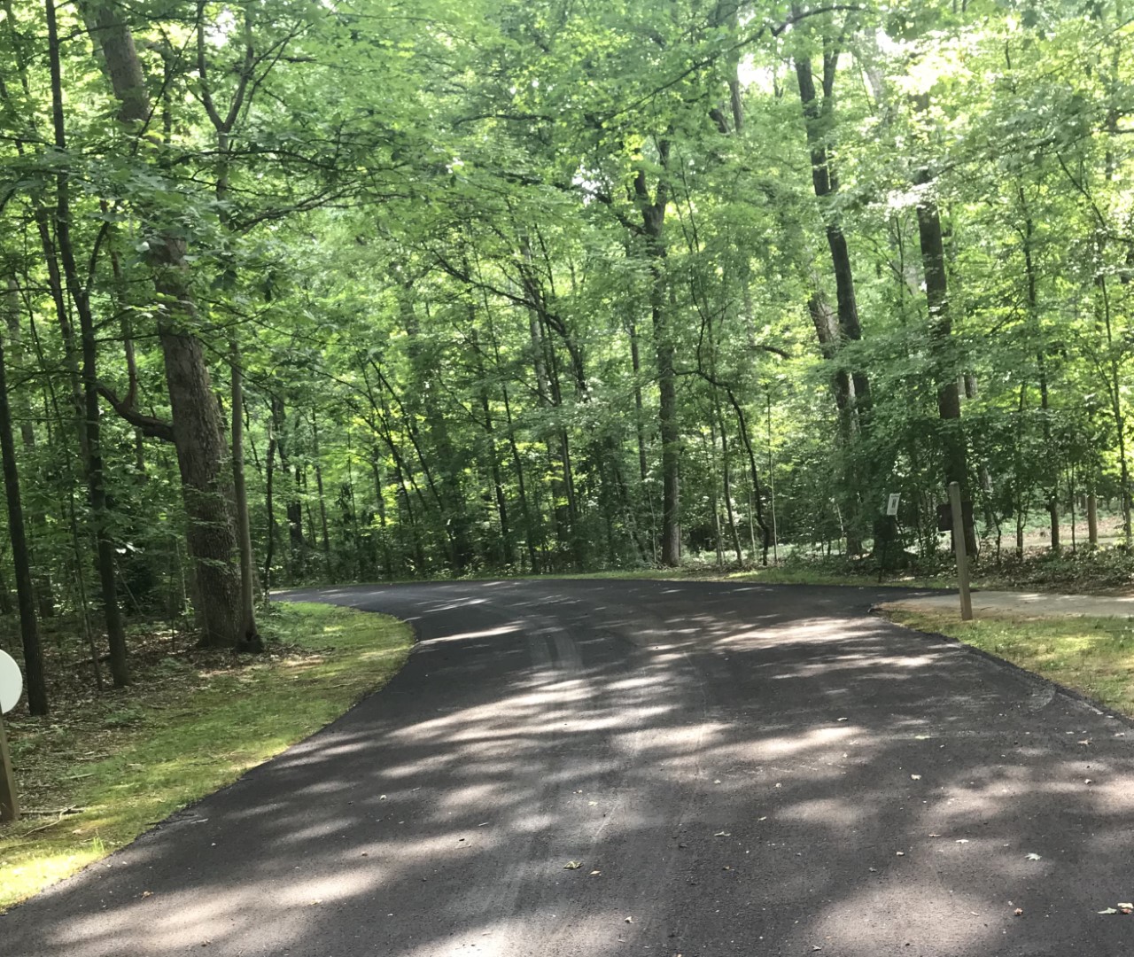 Guilford Courthouse National Military Park tour road and forest A paved tour road surrounded by forest at Guilford Courthouse National Military Park