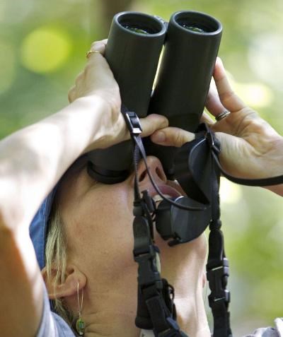 A woman uses binoculars to bird watch in the canopy