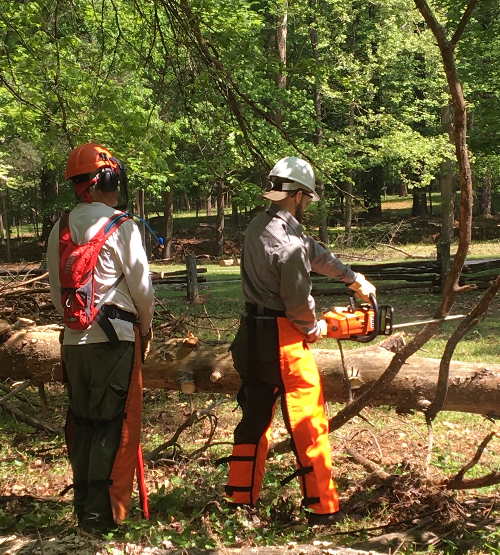 A sawyer uses a chainsaw to remove limbs while the instructor observes from behind.