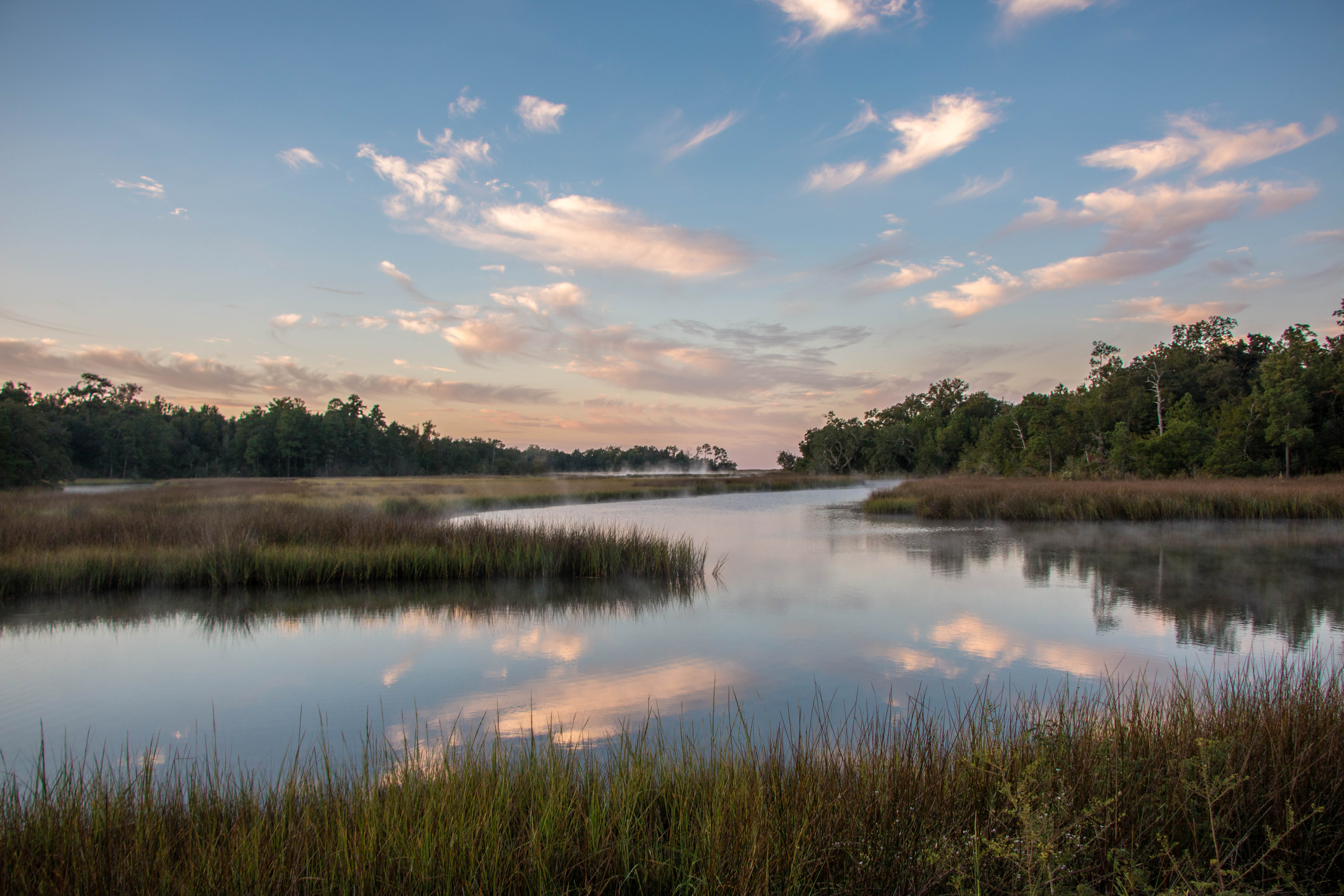 Davis Bayous Area Gulf Islands National Seashore Jobs