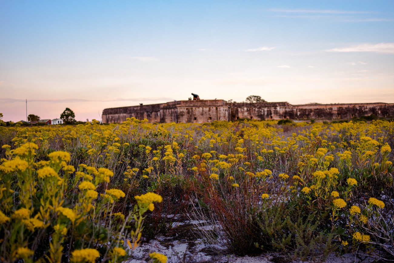 Yellow flowers cover the land in the foreground, in a background a masonry fort looms over the land.