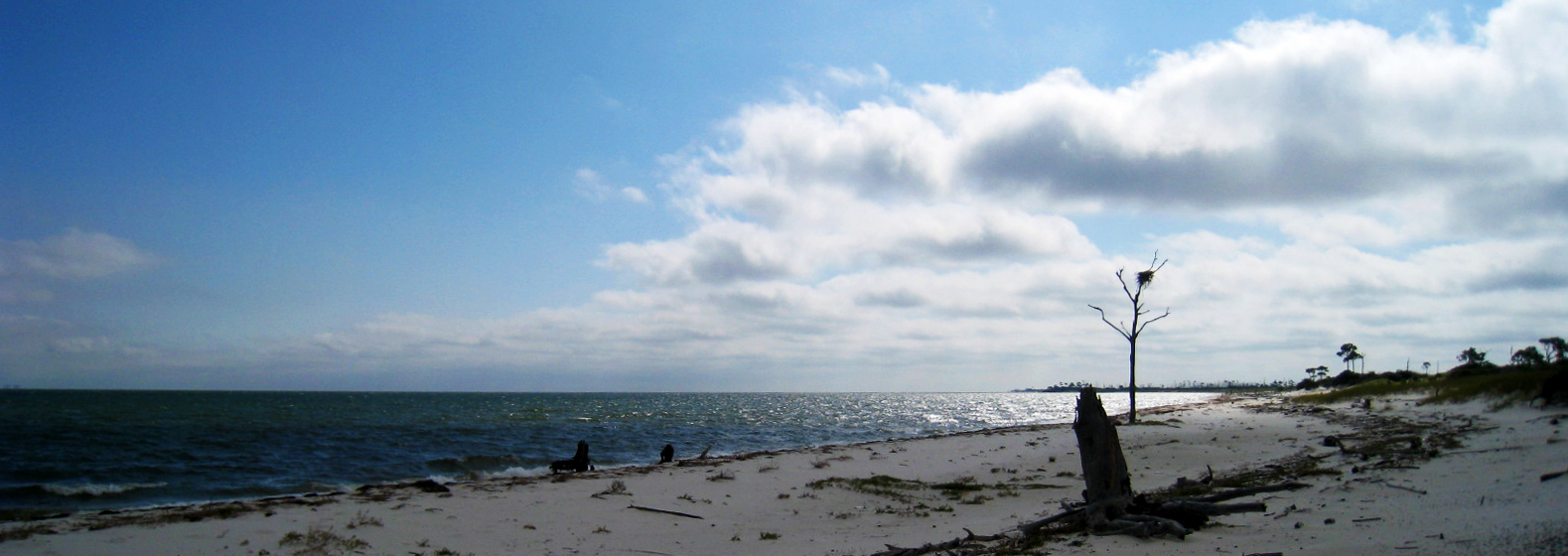 Horn Island Wilderness Gulf Islands National Seashore (U.S. National