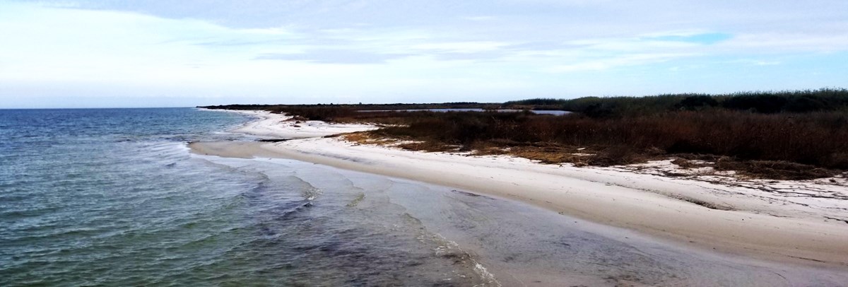 An island extends into the distance on the right. The island begins with a sand beach, then dunes, then a pine forest.