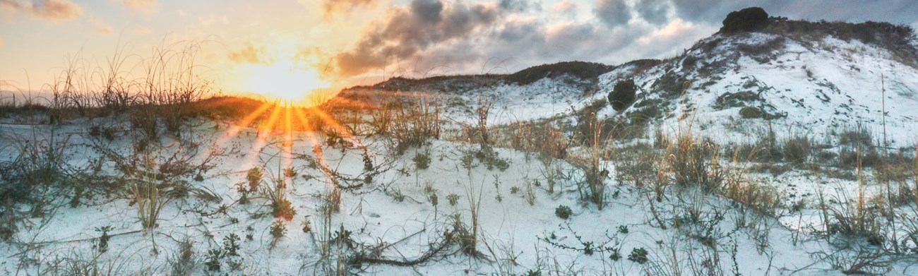 The sun bursts over a white sand dune with scattered vegetation.